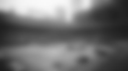 Dirt Bank of America Stadium