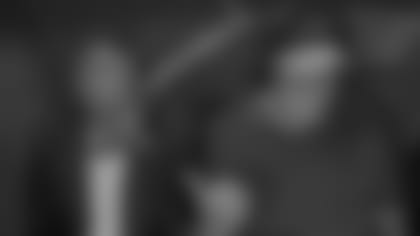 Steve Smith Sr., David Tepper