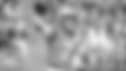 allen_SF_thumb