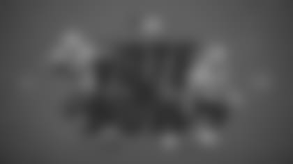 ProBowlLandscape