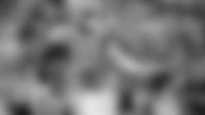 180511_bug_inside.jpg
