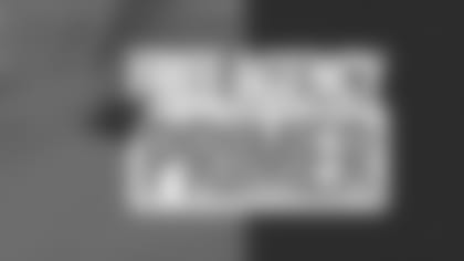 FreeAgencyPrimer_Wide