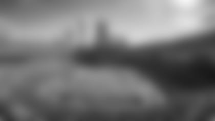 Bank of America Stadium during against the Atlanta Falcons at Bank of America Stadium on Sunday, December 23, 2018.