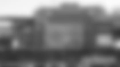 gs-adler-watermark-2022