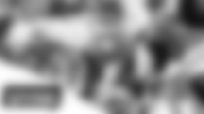 Dolphins-WhatTheyreSaying-2500x1406