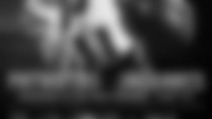 Patriotas jaguares.jpg