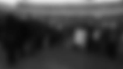 500x305-20130107-dd-release.jpg