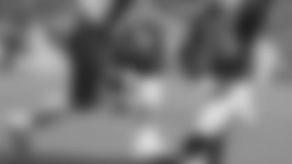 vrabel_td_ap1.jpg