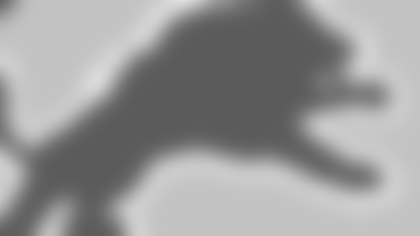 mock_0028_lions.gif