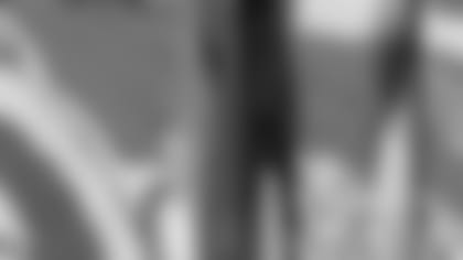 21295.jpg
