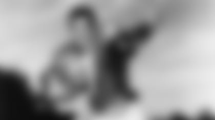 2500x1406-20190329-bellino