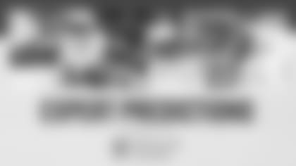 2019-ExpertPredictions-PDC