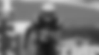 Adrian_Phillips_Watermark