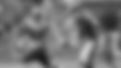 320-woodhead-dolphins-preview.jpg