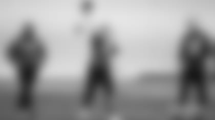 zappe-gilbert-adler-wm-tb