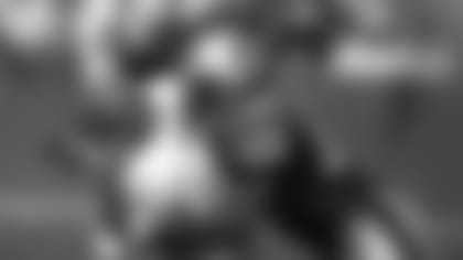 d435c1d1dd24410b88b63c6e14c6ed86.jpg
