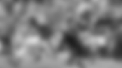 stevenson-browns-ds-wm