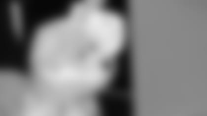 beanie-baby-20160331.jpg