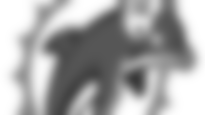 mock_0018_fins.gif