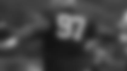 brace_wilfork_8717.jpg