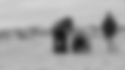 Photo courtesy of Mystic Aquarium