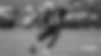 20210809_Notebook_Nordin_adler