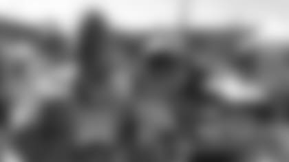 710x380-espanol-thumb-with-2bug.jpg