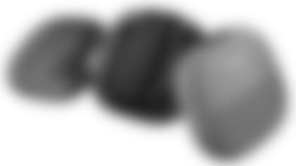 bose.jpg