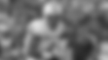 340-terrance-williams-ap.jpg