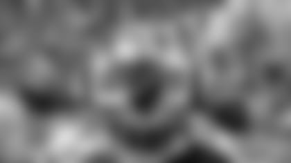 20080817_6crable.jpg