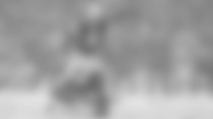 2500x1406-adam-vinatieri