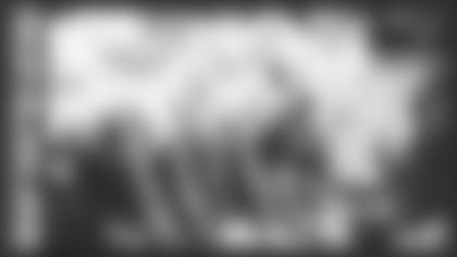 20191226-WhatTheyreSaying-Dolphins-PDC