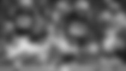 Sony Michel vs. Carolina Panthers.