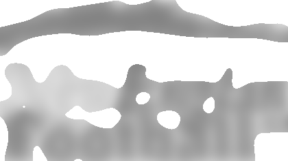 nef-logo.gif