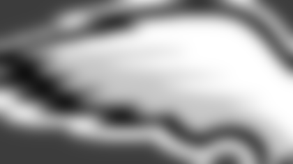 mock_0008_eagles.gif