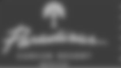 300x100_paradisus.jpg