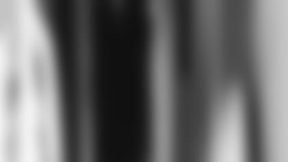 25466.jpg