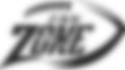 380-fanzone-logo-tc2014.jpg
