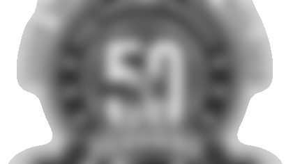 sth_pin_logo.gif