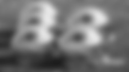 helmets-field-silverman-watermarked