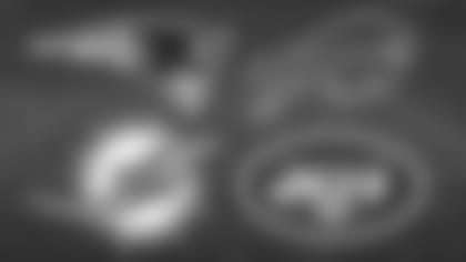 710x380-2014afc-east-capsules.jpg