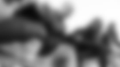 2500x1406-20181114-easterby-6-ds