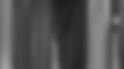 25153.jpg