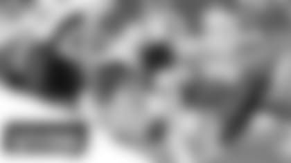 Lions-WhatTheyreSaying-2500x1406