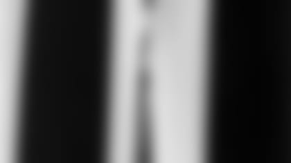 17600.jpg