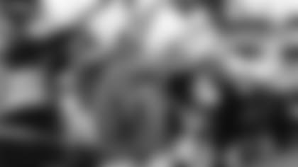 Ryan Allen - Instagram (@rallen06): Figs most recent victim. Only God knows what woody has been through. My dogs may seem fragile and kind.... But Don't let them fool you #IGLife #FigForBrains #Theives&Beggars