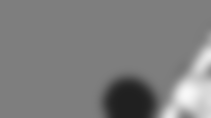mock_0023_clev_browns.gif