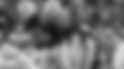 tippett_1_12_86_dolphins.jpg