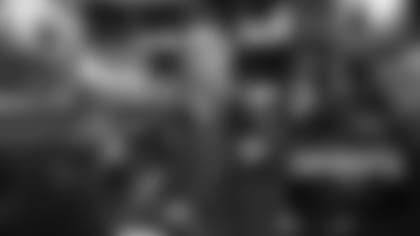 thumb_720x380hogan.jpg