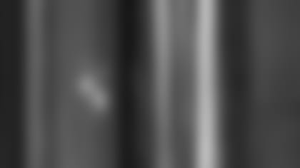 23504.jpg